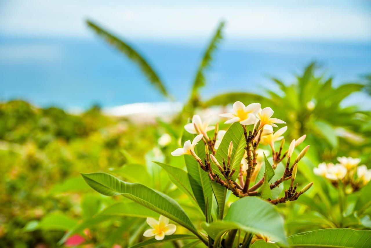 圣勒Re Ocean别墅 外观 照片